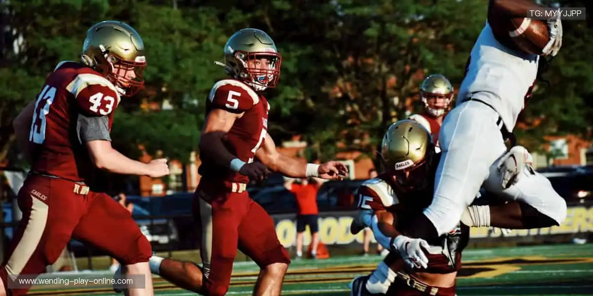 🎮 从装备到收藏,一站式满足你的体育情怀!